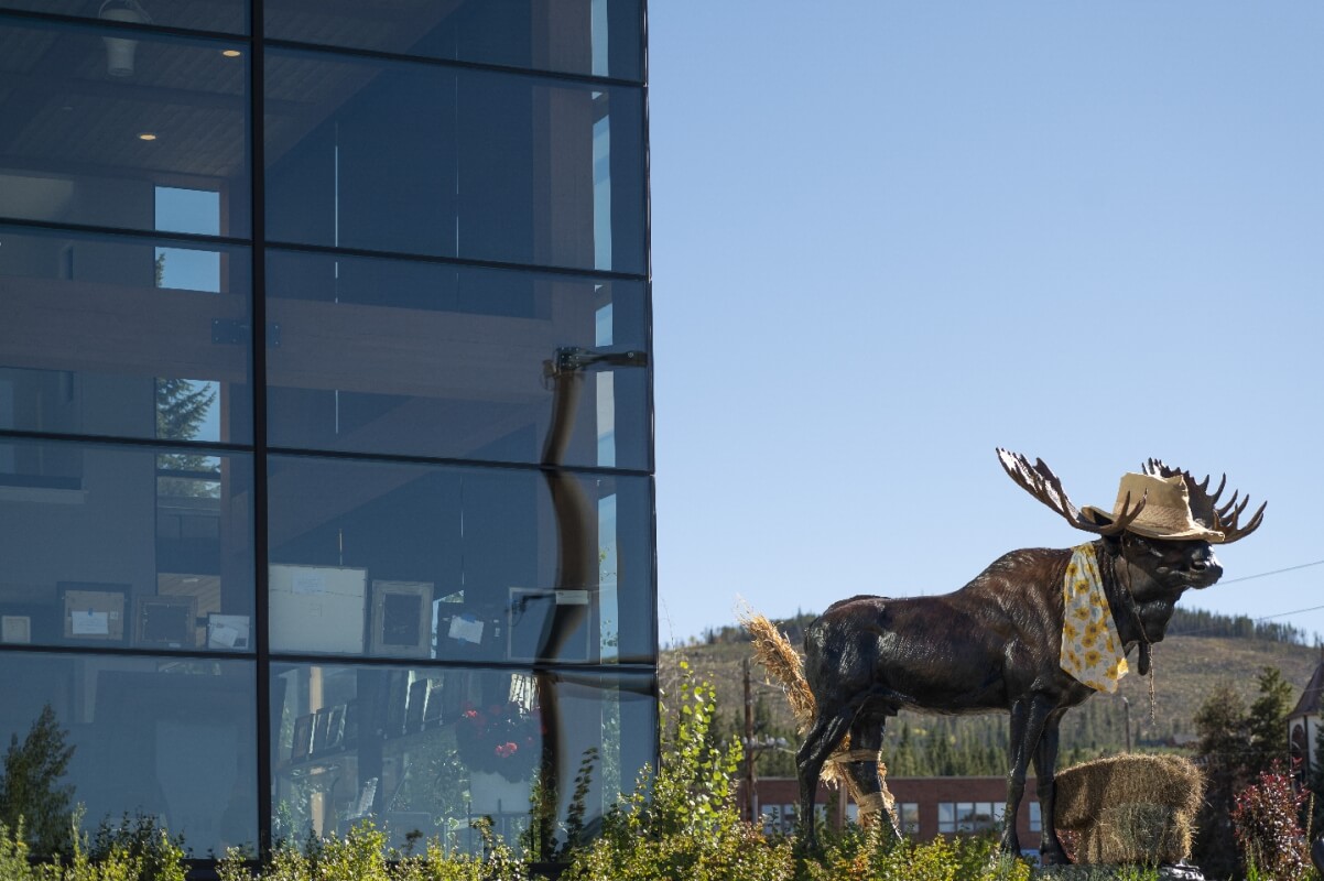 A moose statue with a cowboy hat and bandana stands near a modern glass building in Grand County Colorado.