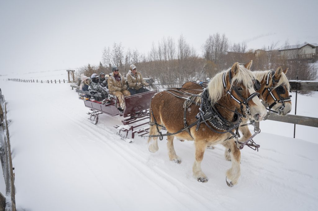 People enjoying a snowy horse drawn sleigh ride in Grand County, Colorado.