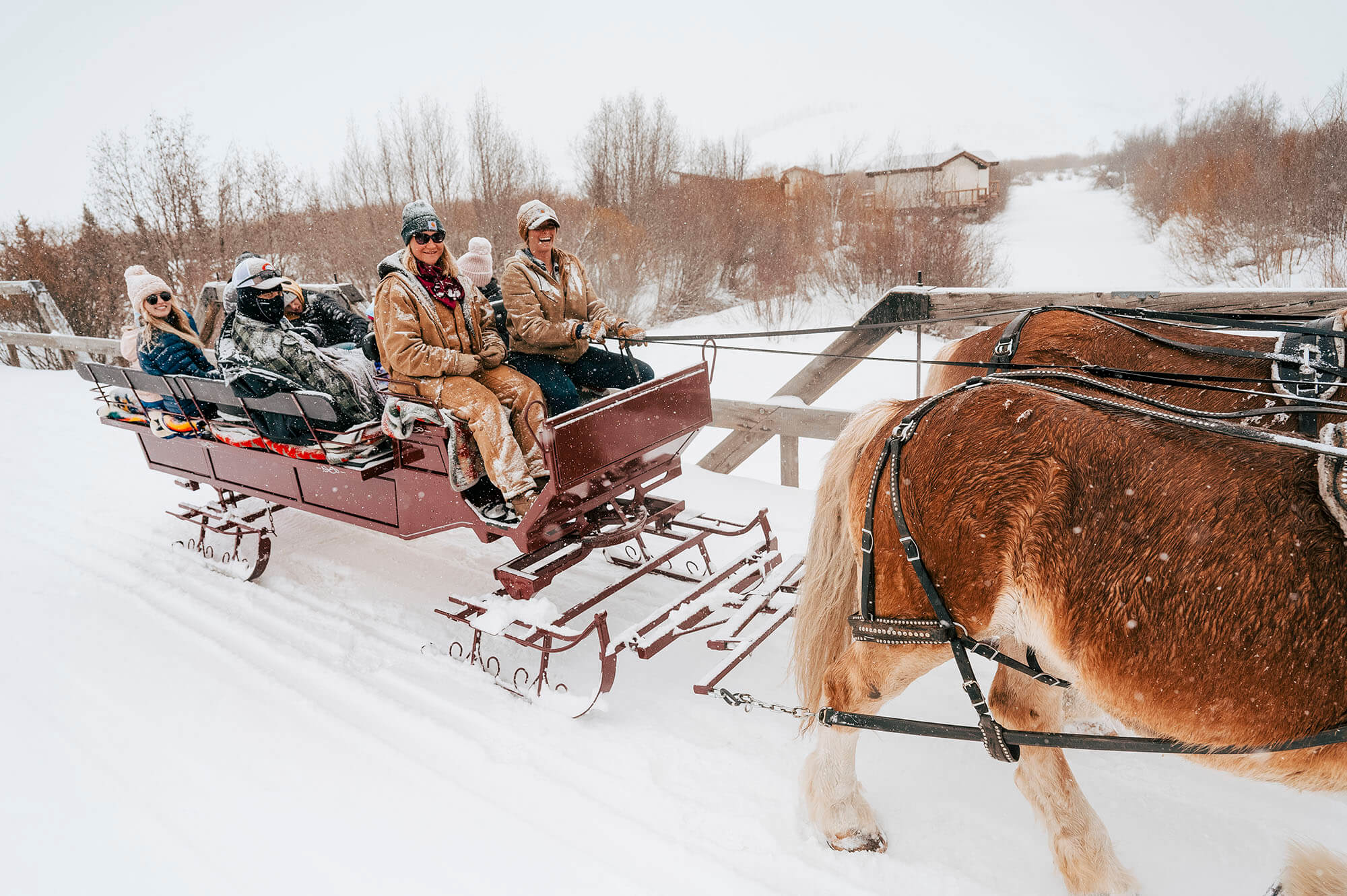 A group of six people enjoy a snowy sleigh ride pulled by two brown horses in Grand County Colorado.