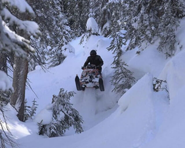Snowmobiler navigates through a snowy forest, kicking up powder in a winter wonderland in Grand County Colorado.