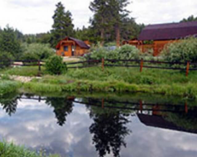 A serene pond reflects a rustic wooden cabin nestled among lush greenery and tall trees in Grand County Colorado.