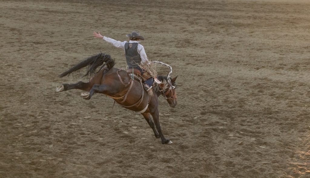 A cowboy in a rodeo arena is thrown off a bucking bronco, arms outstretched in Grand County Colorado.