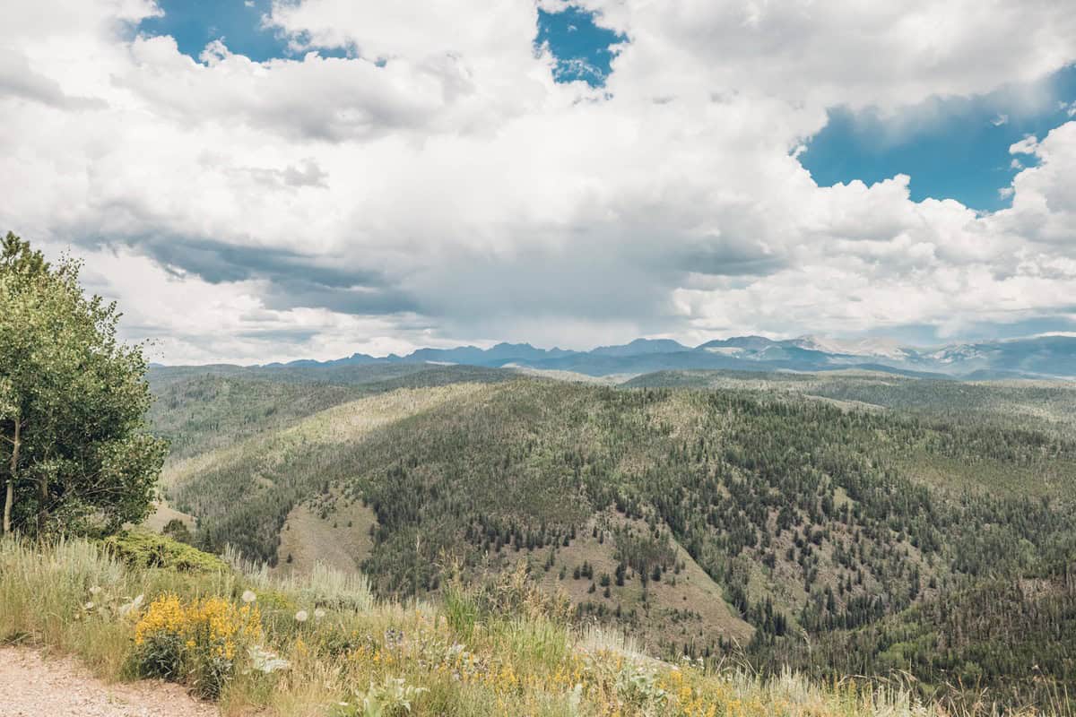 A mountainous landscape with green hills and dense forest under a partly cloudy sky, featuring distant mountain ranges on the horizon. Wildflowers and grasses are visible in the foreground.