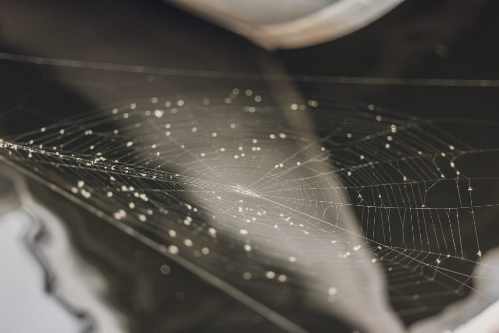 A close-up of a spider web glistening with dew drops on a dark background in Grand County Colorado.