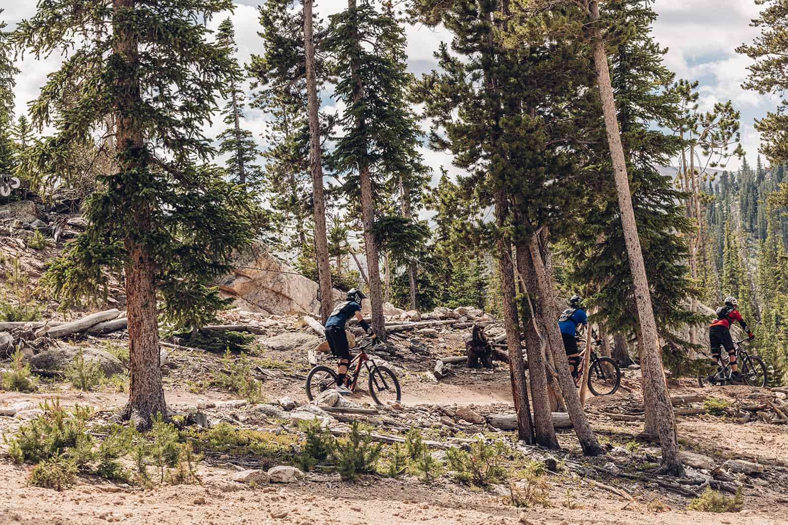 A group of mountain bikers riding through a forest.