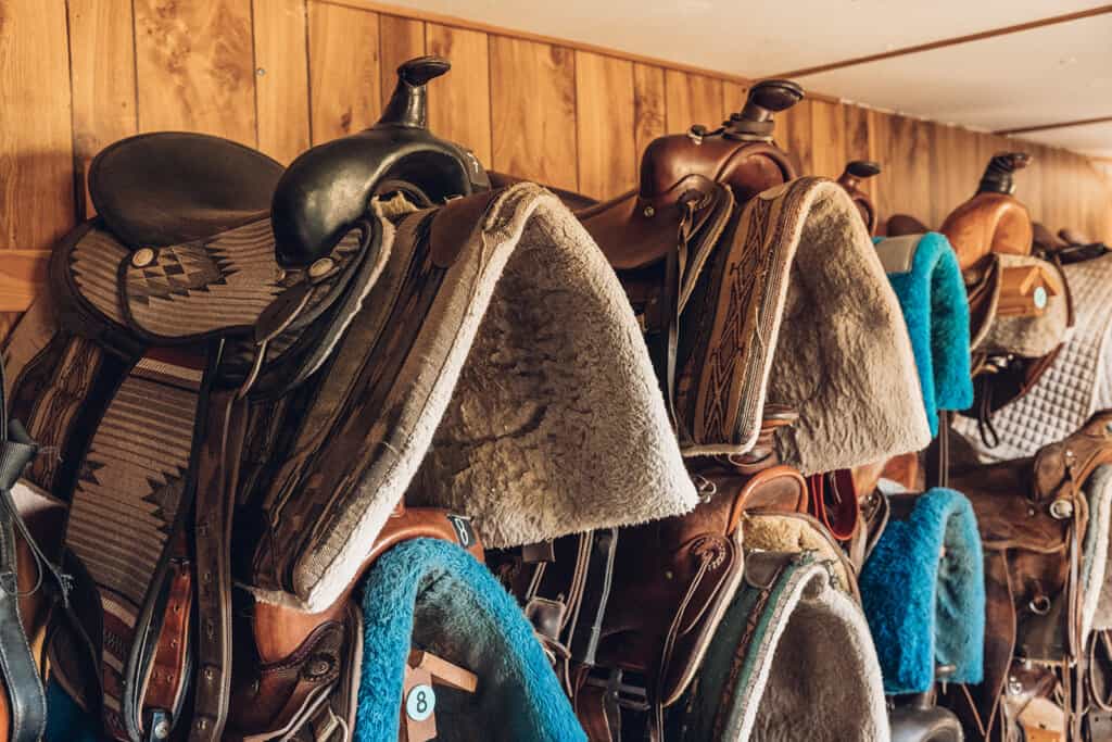 Many saddles are lined up in a room.