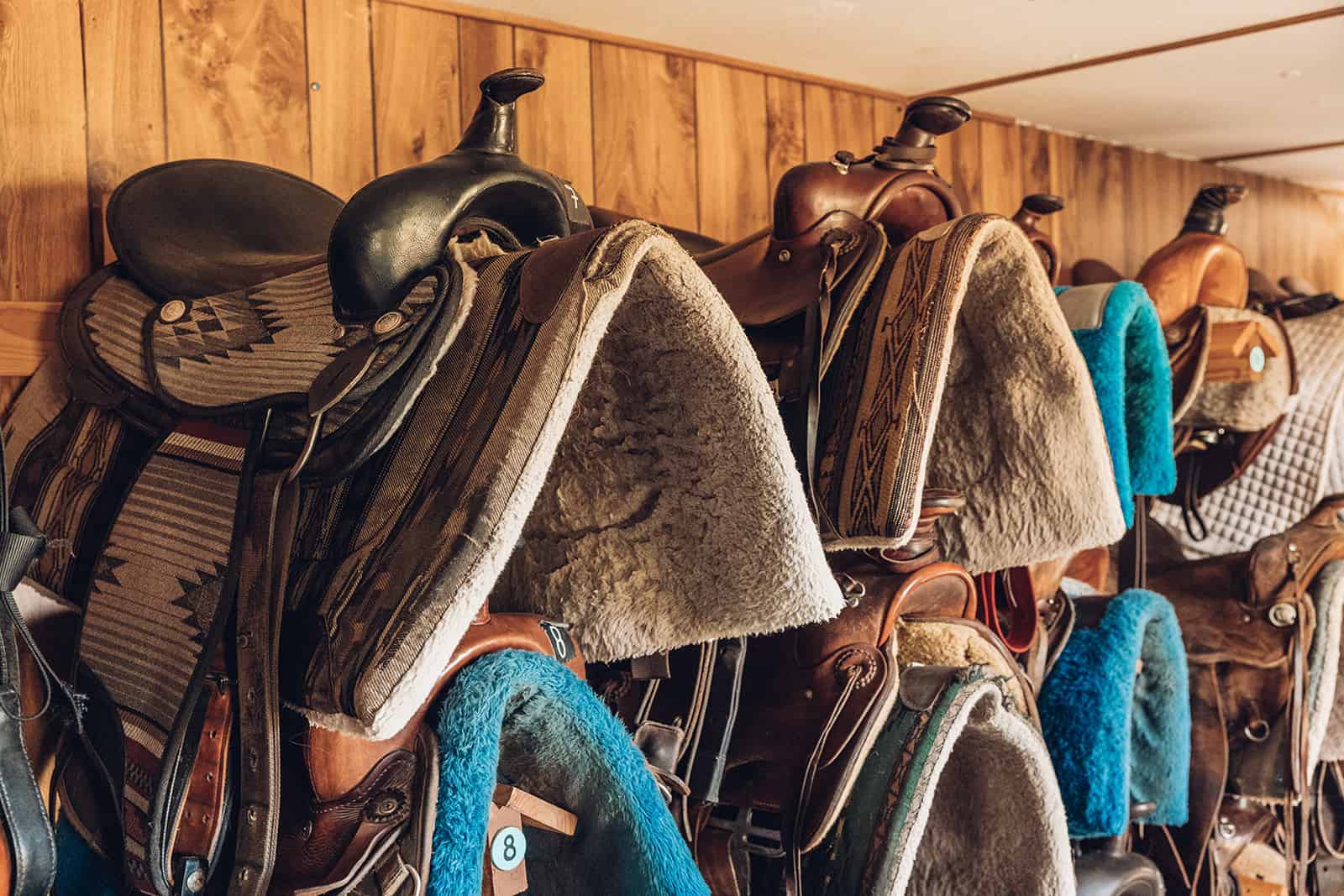 Many saddles are lined up in a room.