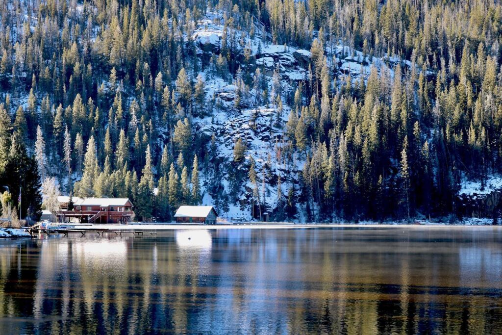 A cabin on a lake surrounded by trees.