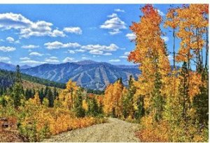 A winding dirt road cuts through a vibrant autumn forest with colorful trees and distant mountains in Grand County Colorado.