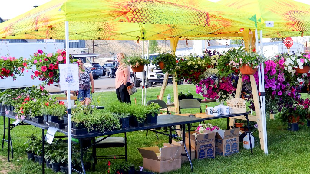 A vibrant outdoor flower market with colorful hanging baskets and potted plants under a yellow tent in Grand County Colorado.