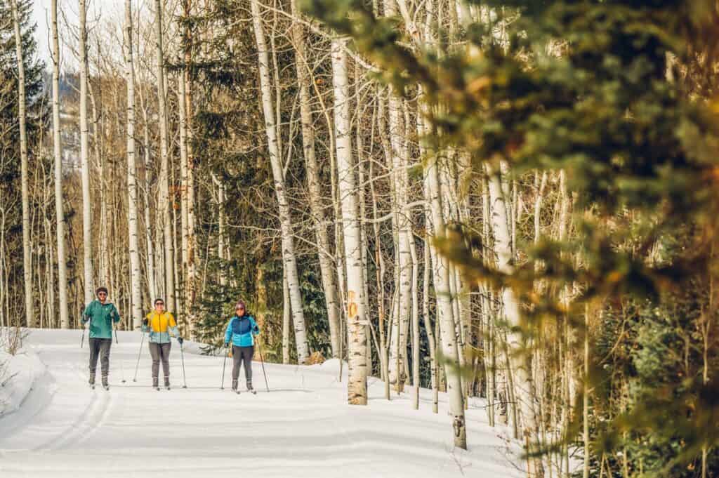 People cross-country ski through a snowy forest in Winter Park