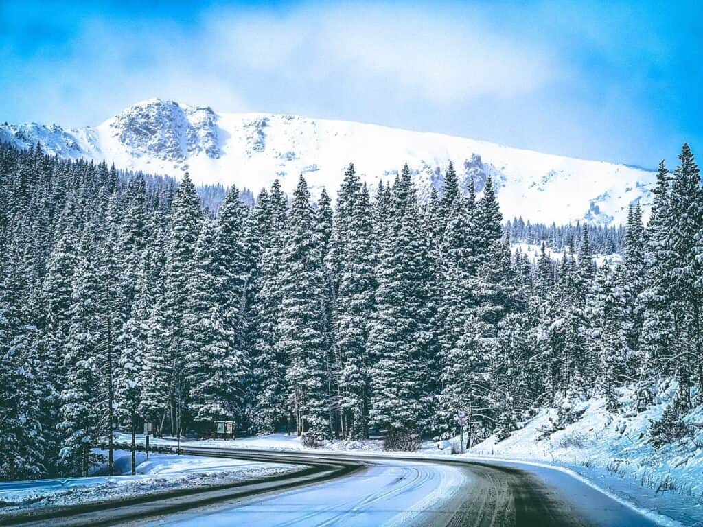 A snowy road in the mountains with trees in the background.