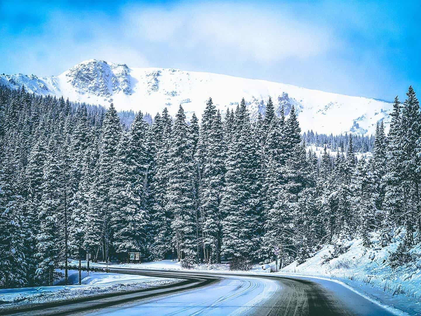 A snowy road in the mountains with trees in the background.