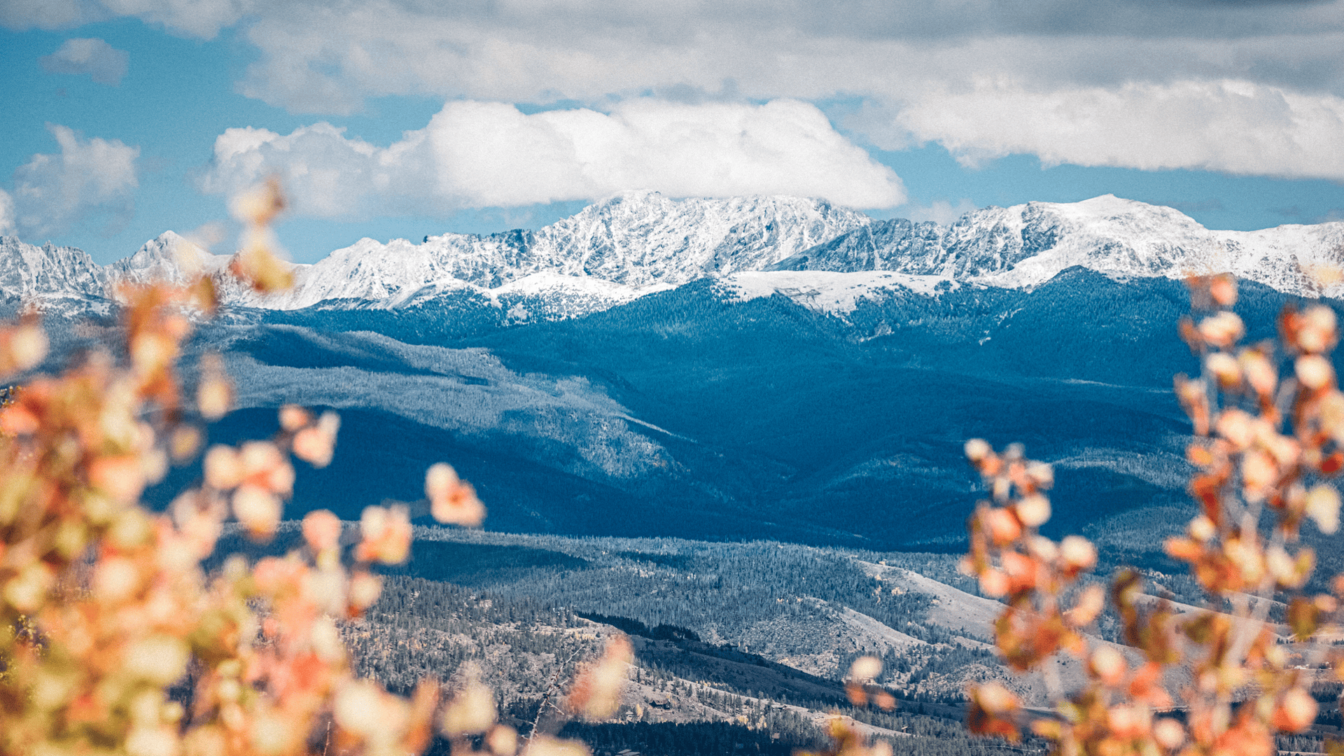 A vibrant landscape featuring snow-capped mountains, lush green valleys, and blooming pink flowers in Grand County Colorado.