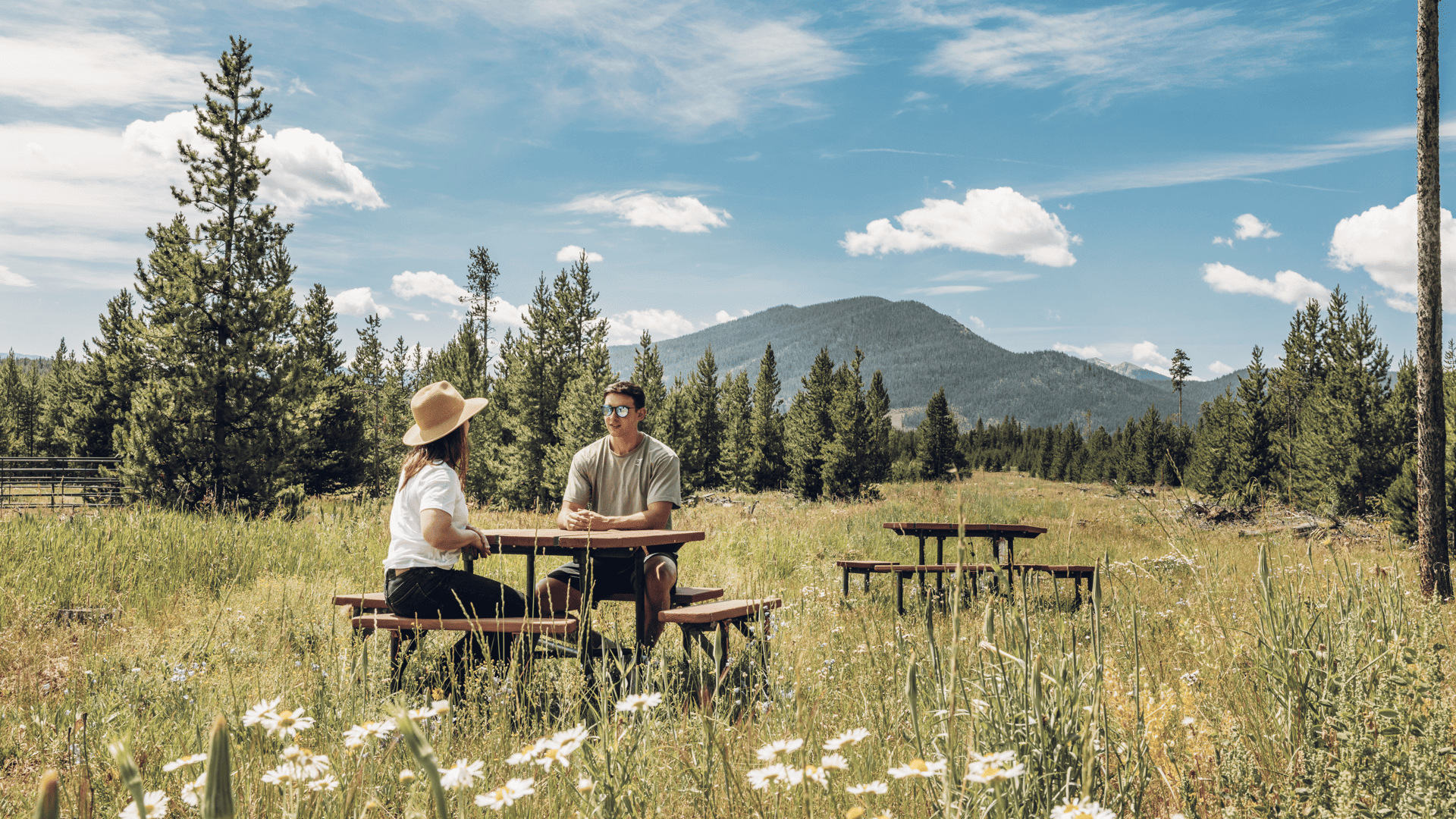 Two people sitting at a picnic table in a field.