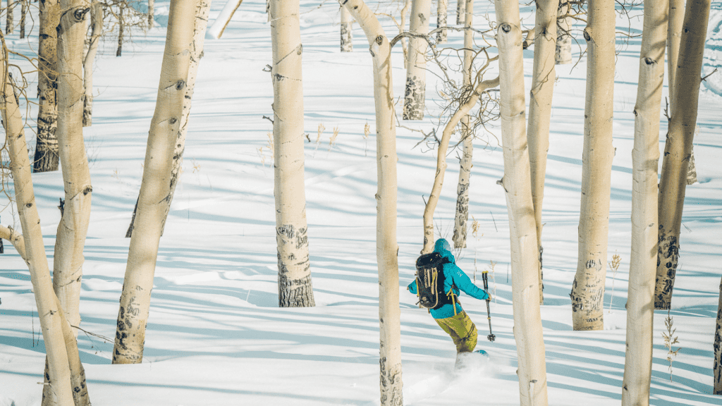 A person skiing through a forest of trees.